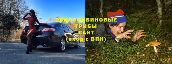 экстази Богородск